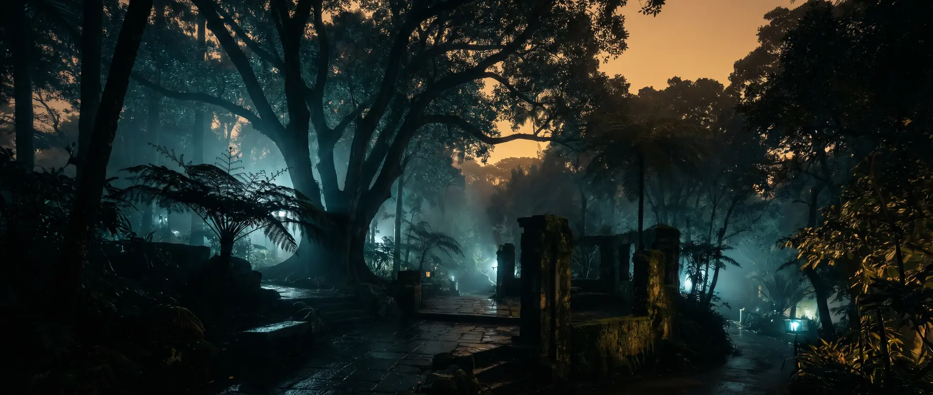 抖阴肖申克的救赎植物视频